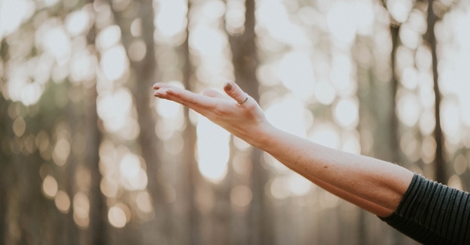 Bodywork Therapy